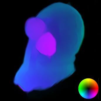 Flow field with our “Complementary Optic Flow” method