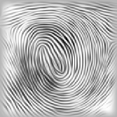 filtered fingerprint