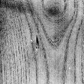 wood surface